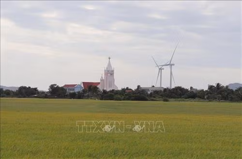 Cảnh làng quê thanh bình của xứ đạo Gò Thao (xã Tân Hải). Ảnh: Nguyễn Thành - TTXVN