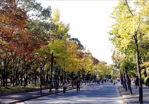 Lâu đài cổ Osaka nằm ở trung tâm của công viên cùng tên rộng hơn 60.000 m2. Ảnh: Huy Hùng - TTXVN