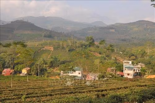 15 hộ dân sinh sống ở chân đồi Cao, tổ 9, thị trấn Nông trường Liên Sơn đang sống trong cảnh nơm nớp lo sợ khi mùa mưa đến. Ảnh: Tuấn Anh -TTXVN