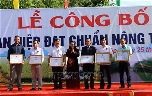 Lãnh đạo tỉnh tặng Bằng khen cho tập thể cá nhân có thành tích trong phong trao xây dựng nông thôn mới. Ảnh: Trung Hiếu-TTXVN
