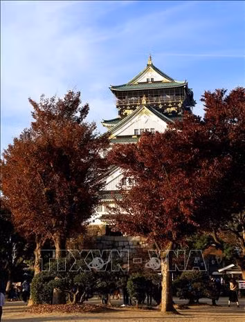 Lâu đài Osaka được xếp vào Tam đại danh thành của Nhật Bản cùng với lâu đài Nagoya và lâu đài Kumamoto và được bảo tồn kỹ lưỡng để giữ mãi dáng vẻ oai hùng và tráng lệ. Ảnh: Huy Hùng - TTXVN