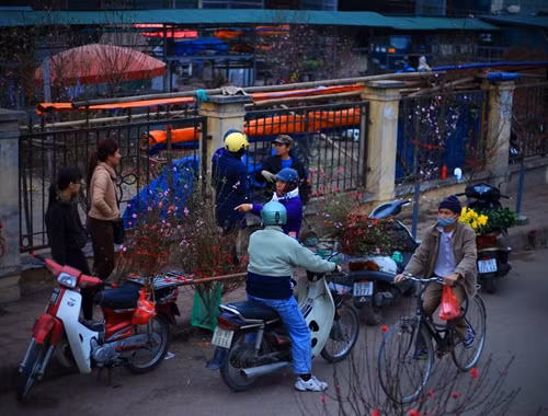 Chợ hoa Quảng An bắt đầu bày bán nhiều cành đào phục vụ người dân đón không khí Tết sớm.