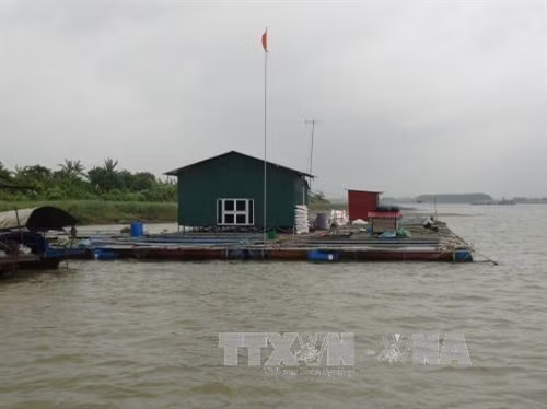 Các giống cá cho hiệu quả kinh tế được các hộ nông dân đưa vào nuôi nhiều là cá điêu hồng, cá lăng, cá chép lai, cá trắm cỏ.