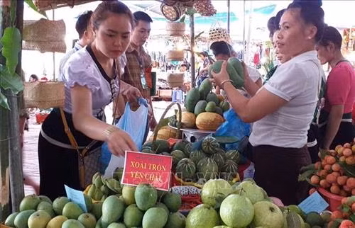 Phần thi gian hàng giới thiệu sản phẩm nông nghiệp, tiểu thủ công nghiệp và sản phẩm OCOP cấp huyện Yên Châu, tỉnh Sơn La. Ảnh: Nguyễn Cường - TTXVN