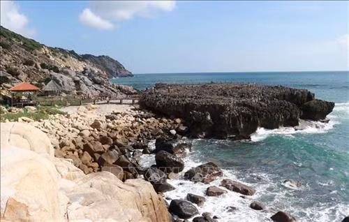 Bãi san hô hóa thạch có tuổi đời hàng triệu năm ở Hang Rái, Vườn quốc gia Núi Chúa. Ảnh: Nguyễn Thành – TTXVN