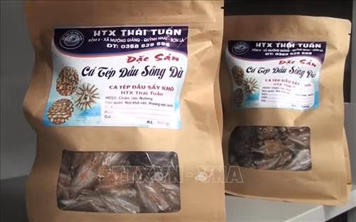 Sản phẩm cá tép dầu sông Đà của Hợp tác xã Thái Tuấn, xã Mường Giàng, huyện Quỳnh Nhai (Sơn La). Ảnh: Nguyễn Cường - TTXVN