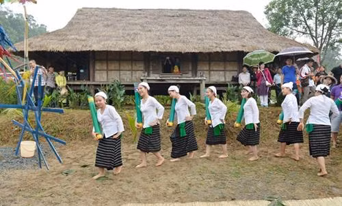 Đồng bào Thổ coi cây lúa là cây trồng linh thiêng mang lại nguồn sống để con người tồn tại và phát triển