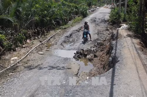 Hiện trường vụ sạt lở đê ở xã Tân Chánh, huyện Cần Đước, Long An. Ảnh: Bùi Giang-TTXVN