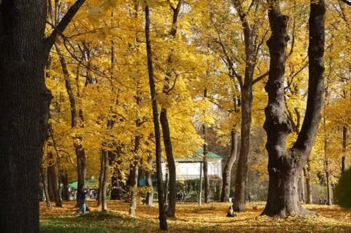 Ngôi nhà của Lev Tolstoy với thư viện riêng bên trong có 22 nghìn đầu sách được in ấn bằng 30 thứ tiếng.