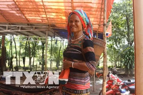 Bà Thị Mương, Chi hội trưởng Chi hội Phụ nữ ấp Bù Dinh, xã Thanh An, huyện Hớn Quản, tỉnh Bình Phước nổi tiếng với các phong trào công tác xã hội, bảo tồn và phát huy văn hóa dân tộc S'Tiêng. Ảnh: TTXVN