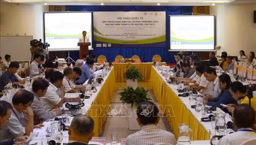 Quang cảnh buổi hội thảo. Ảnh: Quốc Dũng - TTXVN