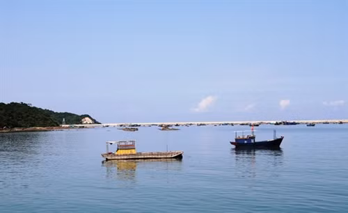 ... với biển trời xanh ngắt
