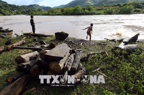 Những khúc củi, tấm gỗ do bọn trẻ vớt được tập kết trên bờ. Ảnh: Phan Tuấn Anh - TTXVN Niềm vui của cậu bé khi vớt được một thân cây to. Ảnh: Phan Tuấn Anh - TTXVN Đứng trên bờ nhìn thấy có củi trôi sông, các cậu bé ngay lập tức thi nhau nhảy xuống để vớt dù nước chảy xiết. Ảnh: Phan Tuấn Anh - TTXVN Để vớt được thanh củi to trôi dưới sông có khi phải 3 đứa trẻ mới đưa được vào bờ. Ảnh: Phan Tuấn Anh - TTXVN Một cậu bé vớt được thanh củi to trôi dưới sông. Ảnh: Phan Tuấn Anh - TTXVN