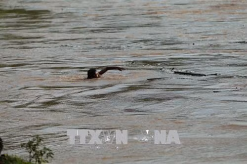 Những đứa trẻ không biết tai họa có thể ập đến lúc nào khi vớt củi trong mùa mưa bão. Ảnh: Phan Tuấn Anh - TTXVN Những đứa trẻ chờ đợi những tấm gỗ, thân cây trôi theo dòng nước. Ảnh: Phan Tuấn Anh - TTXVN Những đứa trẻ không biết tai họa có thể ập đến lúc nào khi vớt củi trong mùa mưa bão. Ảnh: Phan Tuấn Anh - TTXVN Những đứa trẻ chờ đợi những tấm gỗ, thân cây trôi theo dòng nước. Ảnh: Phan Tuấn Anh - TTXVN Dù nước sông chảy xiết, luôn rình rập hiểm nguy nhưng những đứa trẻ vẫn lao ra vớt củi. Ảnh: Phan Tuấn Anh - TTXVN