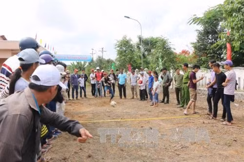 Sôi nổi Lễ hội sông nước miệt vườn tỉnh Sóc Trăng năm 2017 ảnh 2