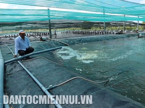 Hệ thống nước tuần hoàn đảm bảo nước đủ tiêu chuẩn cho quá trình nuôi tôm hai giai đoạn