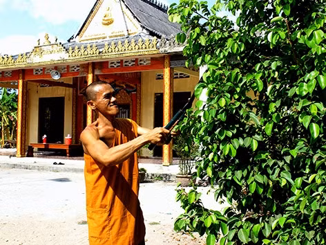 Sư chùa Sakommenchidomra cắt tỉa cây cảnh để đón tết