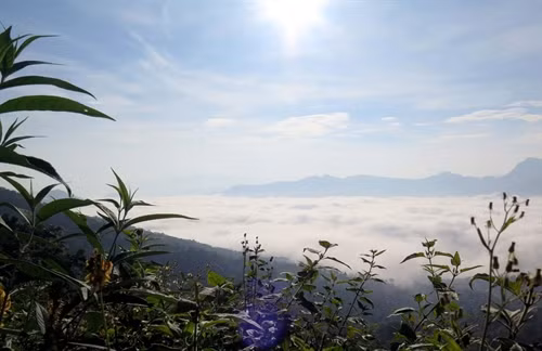 "Biển" mây trắng xóa ngập cả một vùng trời.