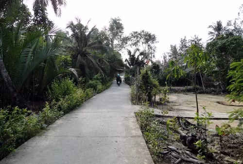Khởi sắc vùng đồng bào dân tộc Khmer ảnh 1