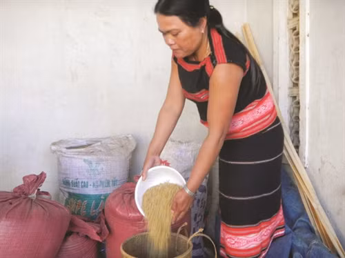 Xây dựng thành công thương hiệu gạo Phú Thiện sẽ góp phần mang lại nguồn thu nhập ổn định cho đồng bào nơi đây