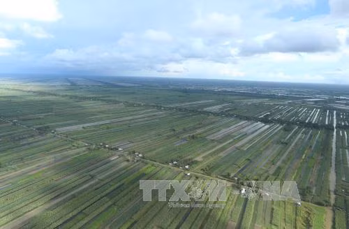 Hình ảnh vùng Đồng sông Cửu Long nhìn từ trên cao. Ảnh: Thống Nhất – TTXVN