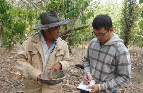 Ông Mai Văn Cúc trao đổi về cách diệt ruồi vàng bằng biện pháp sinh học. Ảnh: Đậu Tất Thành- TTXVN