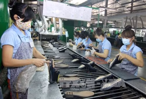 Dây chuyền sản xuất giầy nữ thời trang xuất khẩu tại nhà máy. Ảnh: Vũ Sinh – TTXVN