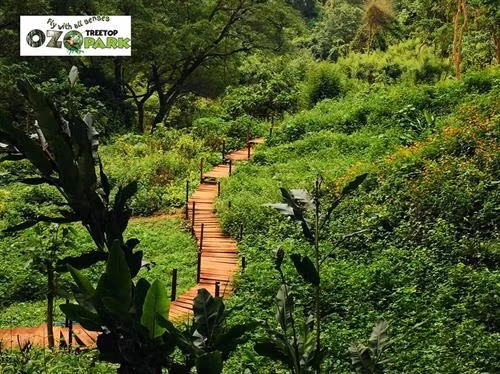 Công viên Ozo là khu công viên đầu tiên khai thác hệ thống trò chơi trên cây và dưới nước độc đáo. Ảnh: ozotreetoppark.com.vn