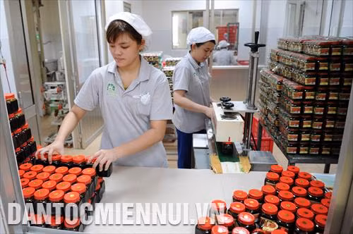 Công ty TNHH Thảo Hương được thành lập từ năm 2002 chuyên sản xuất các sản phẩm làm từ đường thốt nốt như: nước màu, đường thốt nốt bột, là một trong những doanh nghiệp người Hoa điển hình tại phường Châu Phú A (Châu Đốc, An Giang). Hàng tháng, công ty sản xuất và bán ra thị trường khoảng 10 tấn sản phẩm, đạt doanh thu 2 tỷ đồng, tạo việc làm và thu nhập ổn định cho nhiều lao động địa phương. Trong ảnh: Dây chuyền đóng gói sản phẩm nước màu làm từ đường thốt nốt tạ nhà máy công ty