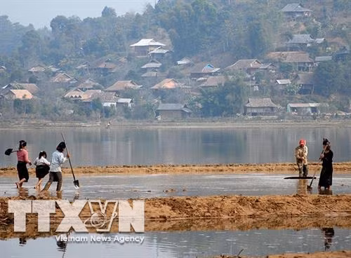 Nông dân xã Mường Phăng làm đất chuẩn bị gieo cấy lúa vụ mùa. Ảnh: Xuân Tư