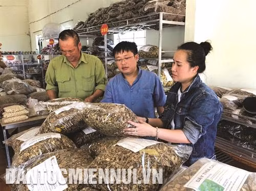 Khách du lịch tìm hiểu các sản phẩm nông nghiệp được làm từ cam Con Cuông. Ảnh: Bích Huệ Sản phẩm nông nghiệp được bày bán phục vụ du khách đến miền Tây Nghệ An. Ảnh: Bích Huệ Đảo chè Chầu Cau ở xã Thanh An, huyện Thanh Chương trở thành điểm du lịch thu hút đông đảo du khách tới tham quan, khám phá. Ảnh: Tá Chuyên Cánh đồng hoa hướng dương ở xã Nghĩa Sơn, huyện Nghĩa Đàn khoe sắc vàng rực rỡ, thu hút nhiều du khách đến chụp ảnh lưu niệm. Ảnh: Doãn Tấn Du khách thích thú khi tham quan và thưởng thức vườn cam tại xã Bồng Khê, huyện Con Cuông. Ảnh: Bích Huệ