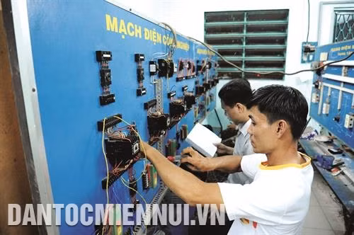 Dạy sửa chữa điện lạnh cho các thành viên hộ cận nghèo tại Trung tâm giáo dục nghề nghiệp - giáo dục thường xuyên ở quận 6. Ảnh: An Hiếu 26 năm qua, Thành phố Hồ Chí Minh đã có 8 lần điều chỉnh mức chuẩn nghèo. Hiện mức chuẩn hộ nghèo của Thành phố Hồ Chí Minh cao gấp đôi mức chuẩn nghèo quốc gia. Ảnh: An Hiếu Tại Thành phố Hồ Chí Minh, số người lao động nghèo, cận nghèo học nghề thuộc lĩnh vực nông nghiệp chiếm 30%, nghề phi nông nghiệp 70%, phù hợp với định hướng chuyển dịch cơ cấu lao động. Ảnh: An Hiếu Thành phố Hồ Chí Minh hiện có 517 trung tâm, cơ sở dạy nghề, trong đó 337 cơ sở có chức năng dạy nghề và 180 trường cao đẳng, trung cấp nghề. Ảnh: An Hiếu