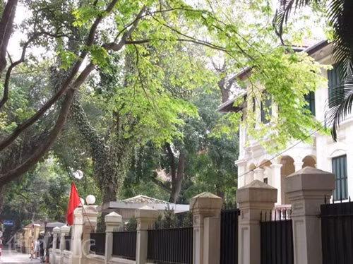 Hẹn gặp lại, sắc trắng hoa sưa ảnh 9