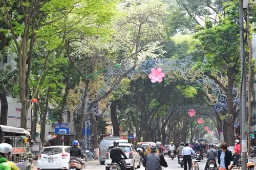 Hẹn gặp lại, sắc trắng hoa sưa ảnh 12