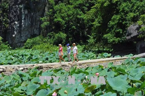 Du khách nước ngoài chiêm ngắm vẻ đẹp hoang sơ, tự nhiên trong mùa sen nở. Ảnh: Minh Đức - TTXVN