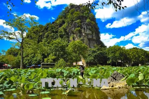 Khung cảnh thiên nhiên hoang sơ đẹp như tranh tại Tam Cốc - Bích Động. Ảnh: Minh Đức - TTXVN
