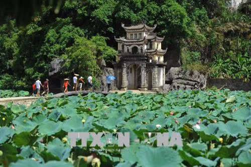 Nhiều du khách nước ngoài tìm đến chiêm ngắm vẻ đẹp hoang sơ, tự nhiên trong mùa sen ở Tam Cốc - Bích Động. Ảnh: Minh Đức - TTXVN