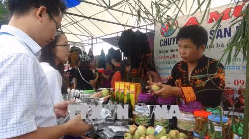 Gian trưng bày, giới thiệu nông sản vùng cao Lạng Sơn đến khách du lịch. Ảnh: Quang Duy - TTXVN