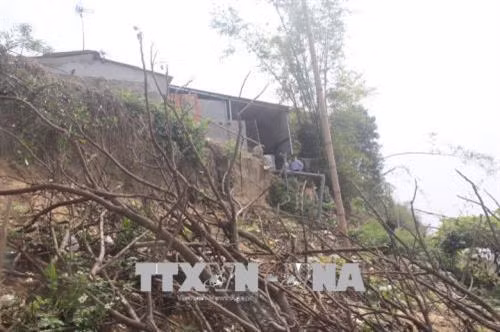 Sạt lở ven bờ sông Chu qua xã Xuân Thiên, huyện Thọ Xuân, tỉnh Thanh Hóa. Ảnh: Hoa Mai - TTXVN