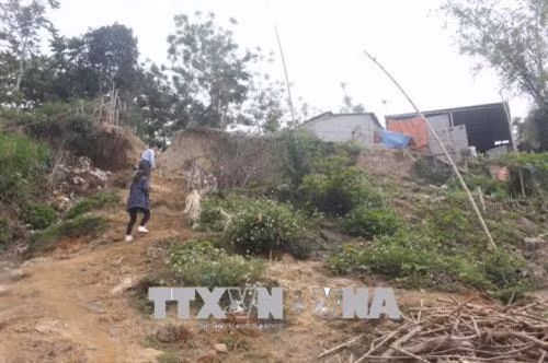 Sạt lở ven bờ sông Chu qua xã Xuân Thiên, huyện Thọ Xuân, tỉnh Thanh Hóa. Ảnh: Hoa Mai - TTXVN