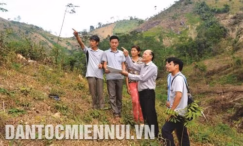 Cán bộ xã Trung Sơn, huyện Yên Sơn giao đất, giao rừng cho bà con dân tộc Vợ chồng anh Ngô Văn Khánh, người dân tộc Mông ở thôn Đồng Mộc, xã Trung Sơn, huyện Yên Sơn đã thoát nghèo nhờ tham gia trồng rừng
