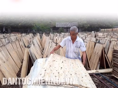 Sản xuất gỗ bóc đem lại hiệu quả kinh tế cao cho nhiều hộ đồng bào dân tộc sinh sống ở xã Yến Dương, huyện Ba Bể. Ảnh: Đức Hiếu