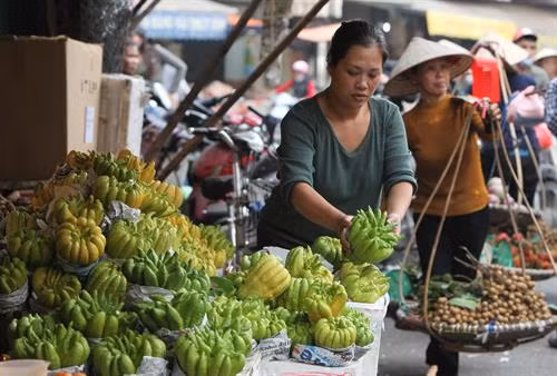 Theo ước tính của bà con nông dân Đắc Sở, trung bình mỗi vườn phật thủ khoảng 1 mẫu sau khi trừ các chi phí, đem lại thu nhập từ 500 - 700 triệu đồng/năm cho chủ vườn.