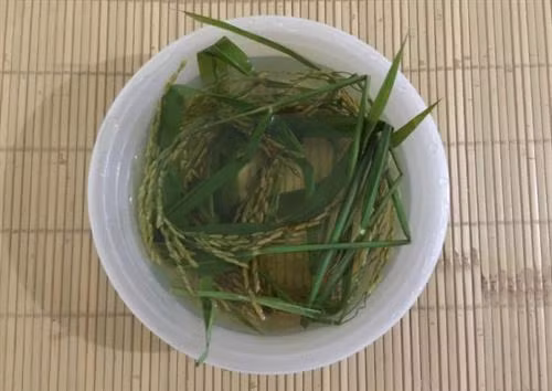 Bát nước lúa mới - lễ vật không thể thiếu trong ngày tết mừng lúa mới.