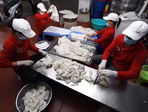 Mỗi ngày, cơ sở cung cấp cho thị trường gần 200 kg chả mực đạt tiêu chuẩn sản phẩm (OCOP) Trung bình, mỗi ngày cơ sở đạt doanh thu hơn 70 triệu đồng Tạo việc làm ổn định cho 15 lao động với mức thu nhập bình quân từ 5 – 7 triệu đồng/người/tháng. Sản phẩm được bày bán tại chợ Chả mực Hạ Long ngon nức tiếng, được người tiêu dùng ưa chuộng