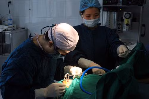 Phẫu thuật chỉnh hình cho bệnh nhi bị sứt môi, hở hàm ếch. Ảnh: Thái Thuần - TTXVN