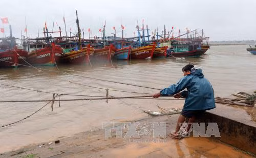 Người dân giằng néo tàu thuyền tại âu thuyền Cửa Việt để tránh bão số 4. Ảnh: Quang Quyết - TTXVN