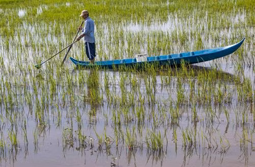 Mùa nước nổi ở Hậu Giang ảnh 12