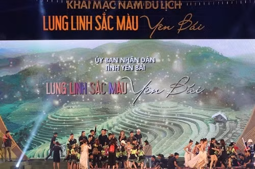 Ca sĩ Tùng Dương biểu diễn trong chương trình