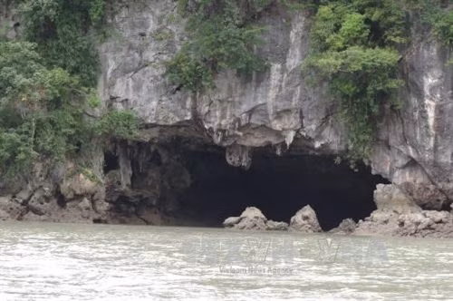 Vườn Quốc gia Bái Tử Long là Vườn Di sản thứ 38 của ASEAN ảnh 13